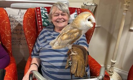 Visit from Birds of Pray