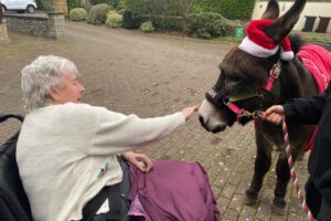 Visit from a Shetland pony and donkey