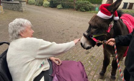 Visit from a Shetland pony and donkey